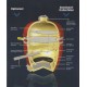 Saffire keramische BBQ, Grill en Smoker Large 48cm (19") RVS