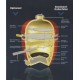 Saffire keramische BBQ, Grill en Smoker Large 48cm (19") RVS