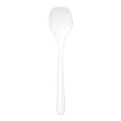 Salade Lepel/Vork