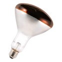 Warmtelamp Rood 250W