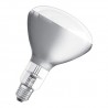 Warmtelamp Wit 250W
