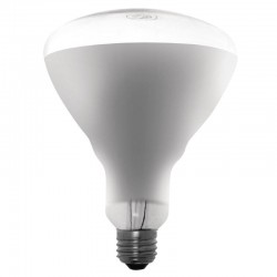 Buffalo warmtelamp 250W ES