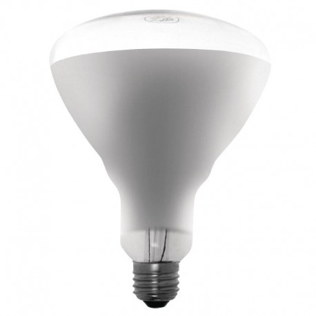 Buffalo warmtelamp 250W ES