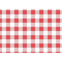 Rood geruit vetvrij papier 19x31cm