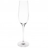 Olympia Campana champagneglazen 26cl