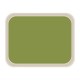 Roltex Original dienblad groen 47x36cm