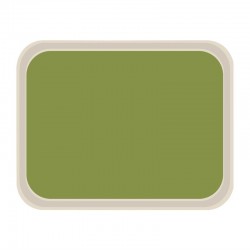 Roltex Original dienblad groen 47x36cm