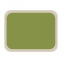 Roltex America polyester dienblad 46 x 36cm groen