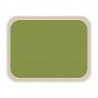 Roltex America polyester dienblad 46 x 36cm groen