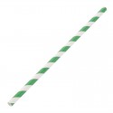 Fiesta Green composteerbare papieren rietjes groen-wit gestreept
