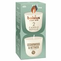 Navulling Clean Light Cedarwood & Vetiver (ds.6x2st.)