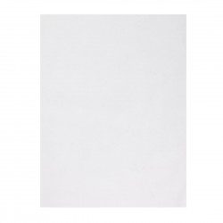 Fiesta Composteerbare Burger Wikkels Wit 250x350mm (200 stuks)