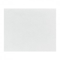 Fiesta Composteerbare Burger Wraps Wit 250x300mm (200 stuks)