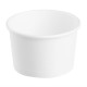 Fiesta recycleerbare ijsbekers wit 85ml – doos 1000 stuks