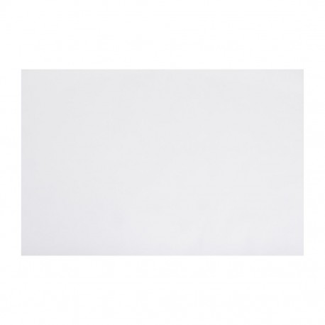 Fiesta Composteerbaar Fish & Chips Papier Wit 500x750mm - 200 stuks