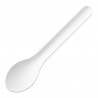 Fiesta Composteerbare Papieren Lepels 150mm - Doos 100 stuks