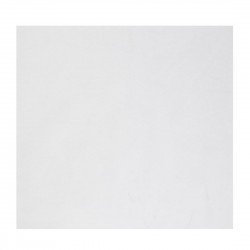 Fiesta Composteerbare Pizzadoos Inlegvellen 305mm – 200 stuks