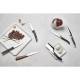 Comas Zermatt Kaasmes 20,5 cm RVS 420 - Set van 6