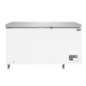 Polar G-serie RVS vrieskist met deksel 378L | Wit