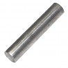 Polar onderste deuraspen RVS – Reserveonderdeel voor GC889