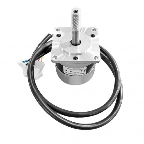 Polar borstelloze DC-motor - Origineel Polar reserveonderdeel