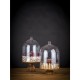 APS Super Dome Polycarbonaat Cloche 300mm – Heldere Buffetstolp
