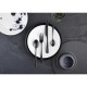 Amefa Austin Black Theelepel Middelgroot RVS 18/0 Zwart - Set van 12