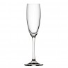 Utopia Nijl Champagneglazen 170ml (6 Stuks) - Helder Kristalglas