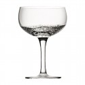 Utopia Botanist Coupé Champagneglas 16 Cl – Set van 6 – Helder Glas