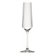 Utopia Murray Champagneglazen 220ml – Set van 6, Helder Glas