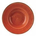 Churchill Stonecast Spiced Orange Kom met Brede Rand Large 27,69 cm (12 stuks)