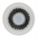 Churchill Studio Prints Fusion Black Bord met Opstaande Rand 25,9 cm - Set van 6